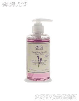 嘉丰化妆品贸易公司 科技赋能，引领身体护理新潮流